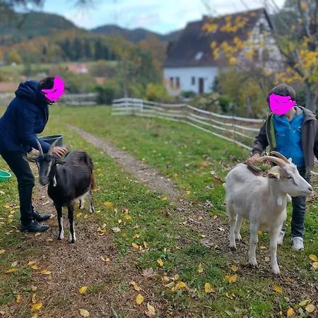 ベッド・アンド・ブレックファスト Au Numero 6 Obersteinbach