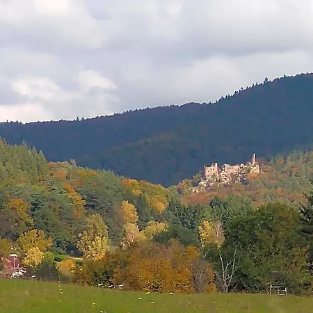 Au Numero 6 B&B Obersteinbach