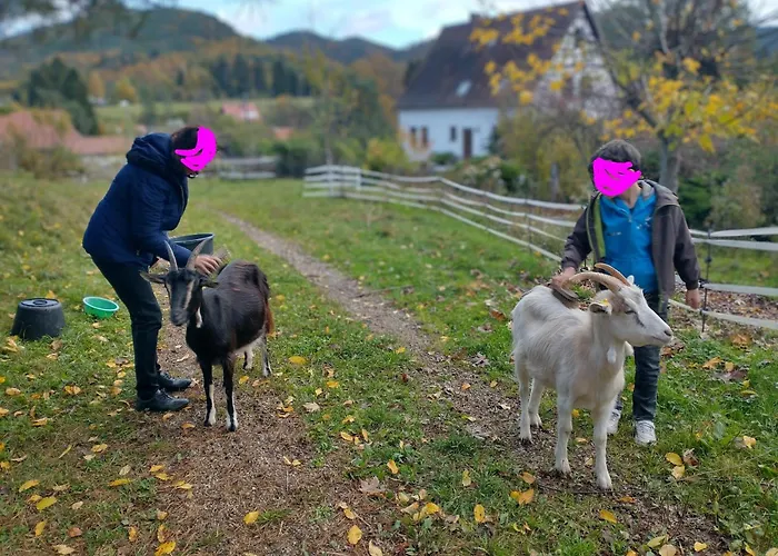 Frühstückspension Au Numero 6 Obersteinbach